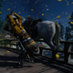 Jin, winding up for a horse crime.